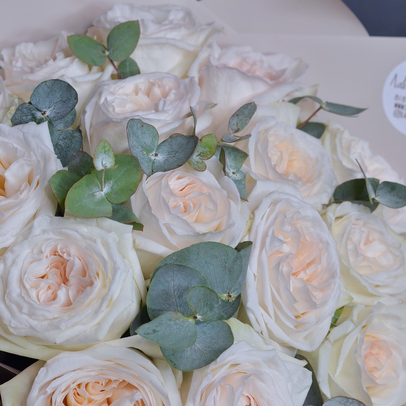 Букет из 15 пионовидных роз Вайт Охара с эвкалиптом