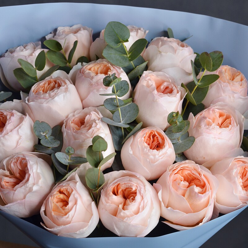 Букет из 17 пионовидных роз Джульетта с эвкалиптом