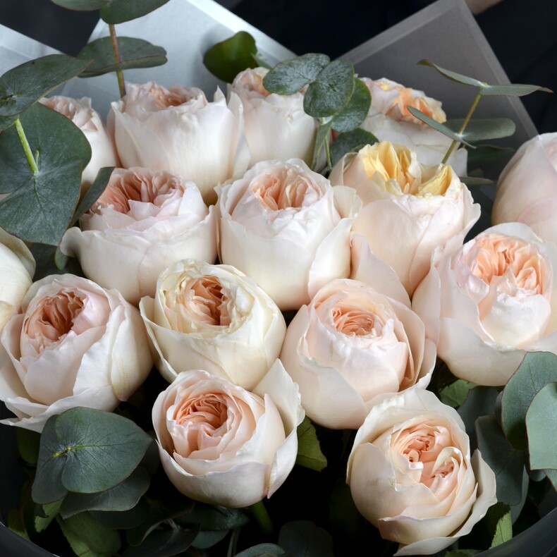 Букет из 15 пионовидных роз Джульетта с Эвкалиптом