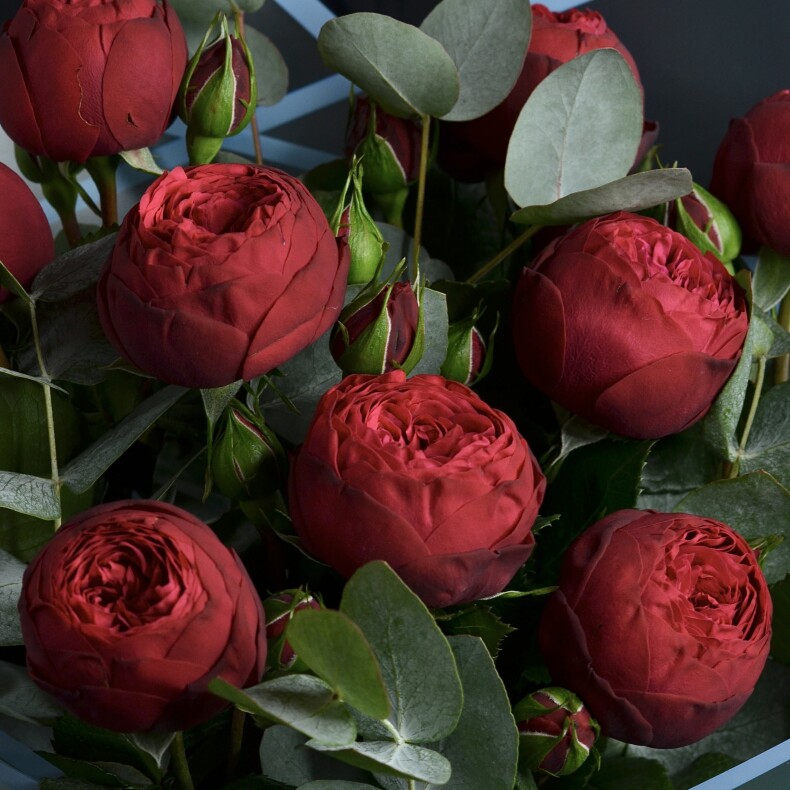 Букет из 9 роз Ред Пиано с Эвкалиптом